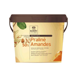 Palette de Cacao Barry Praliné 50 % Noisettes 5 kg